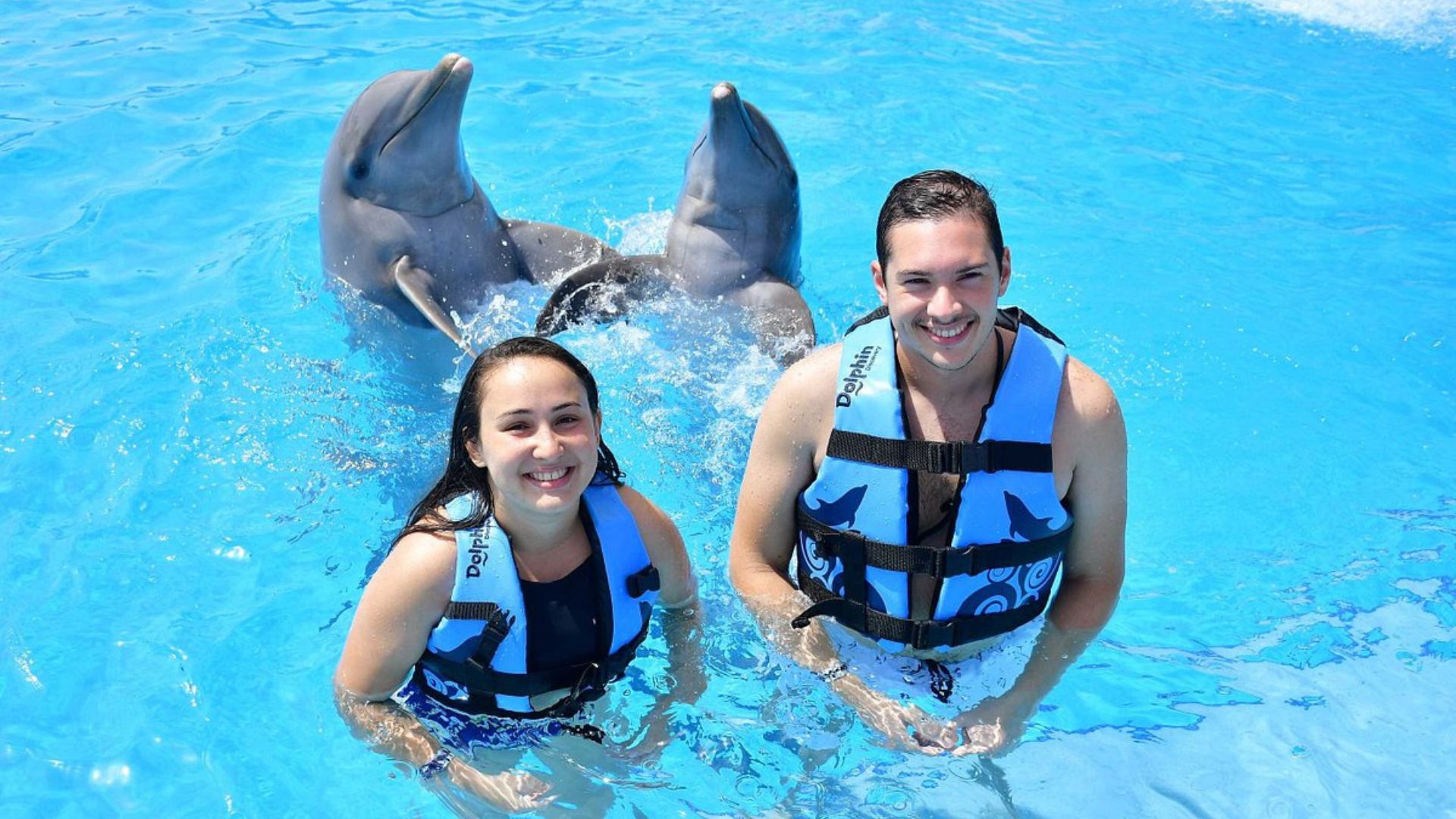 swim-with-dolphins-in-playa-del-carmen