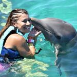 dolphin in isla mujeres