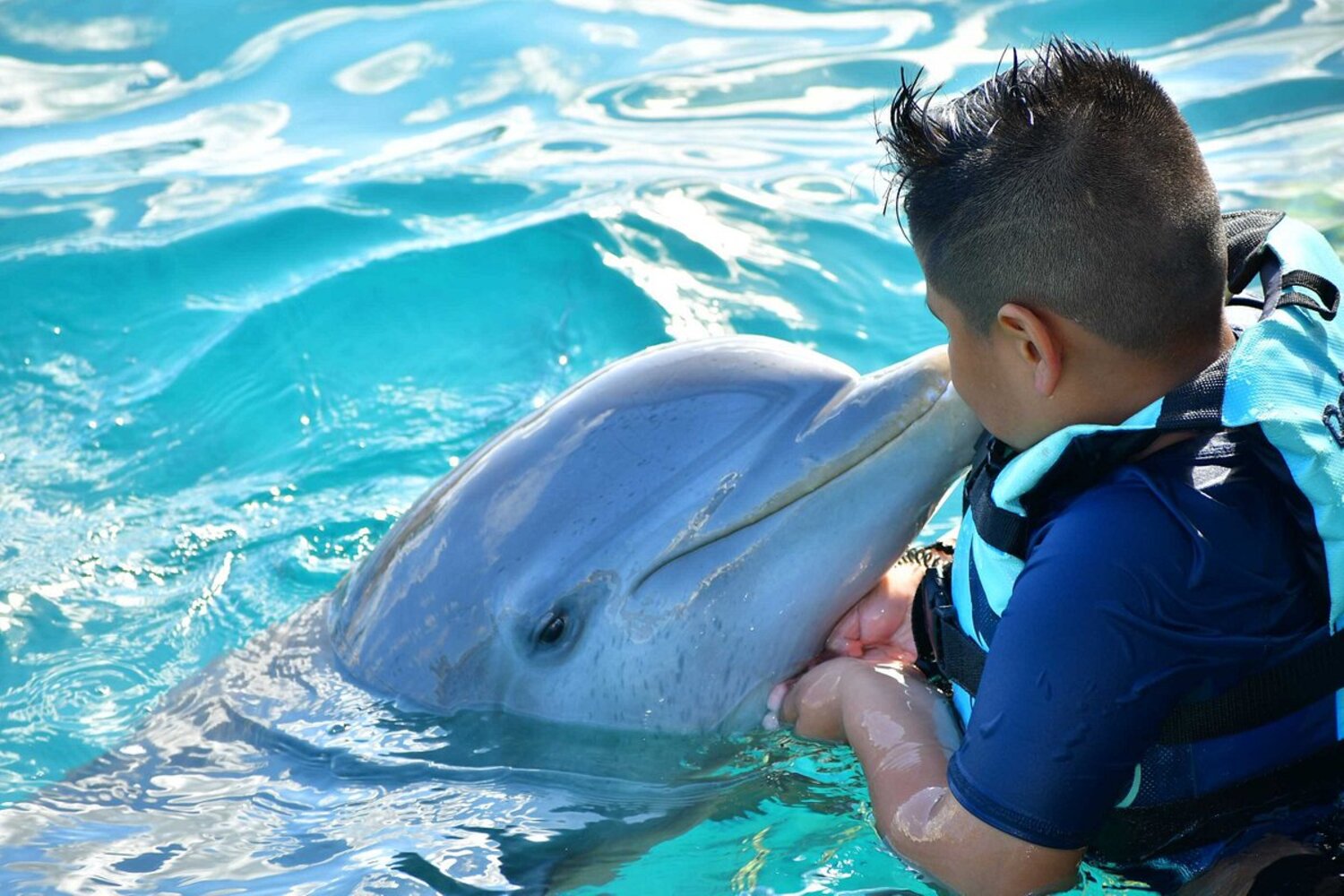 dolphin kid isla mujeres