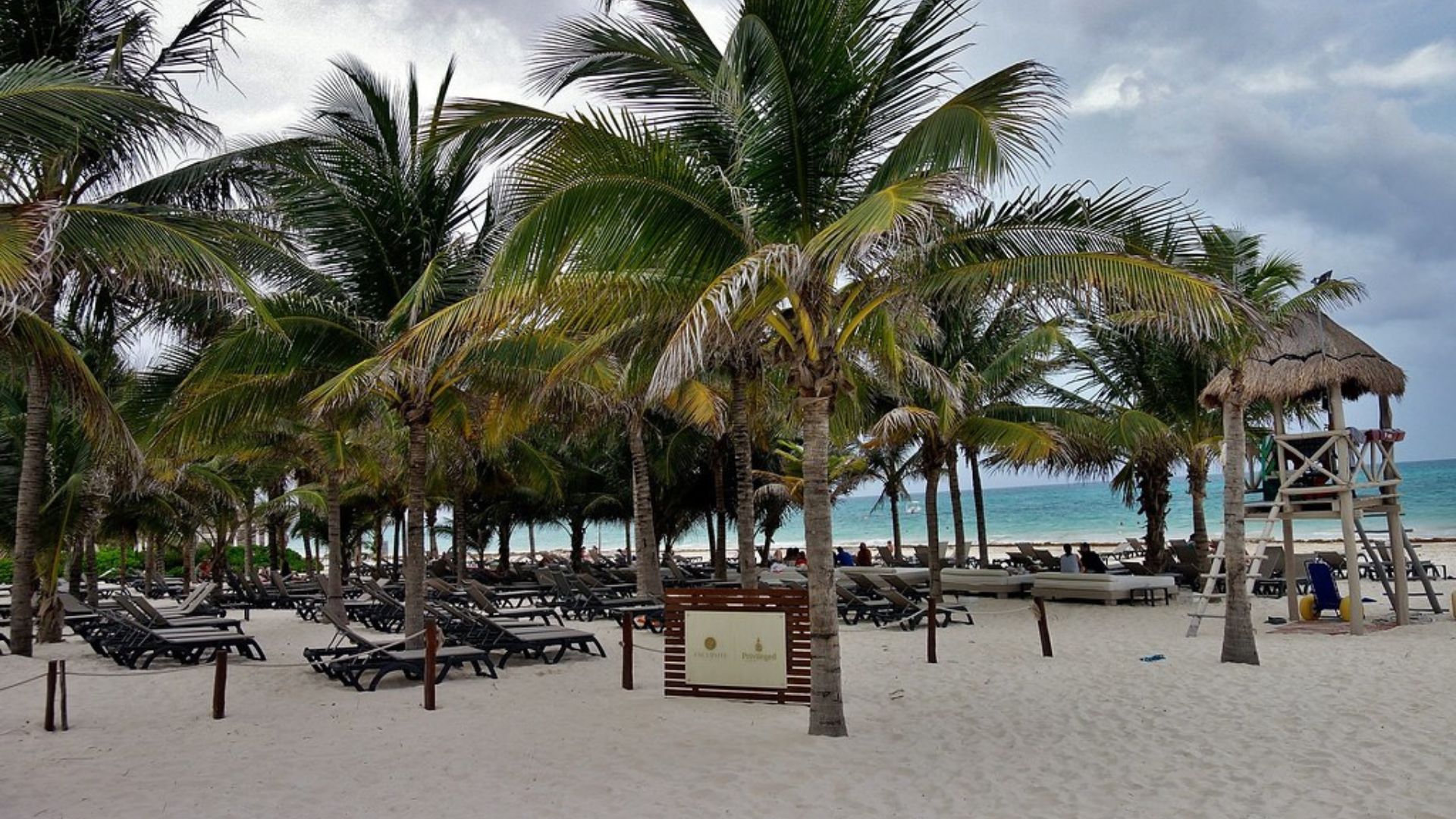 palm trees and lounge chairs on Maroma beach