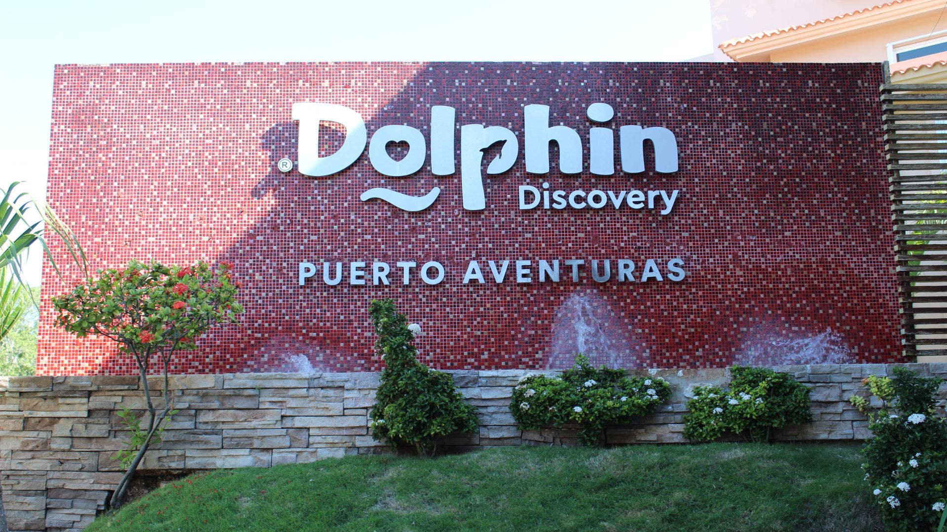 Facade of the Dolphin Discovery Puerto Aventuras location