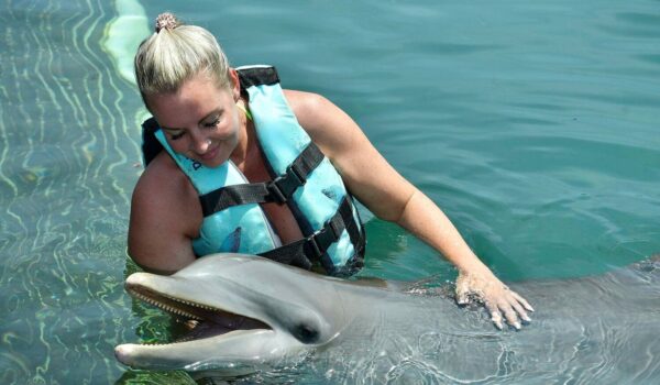 dolphins in riviera maya