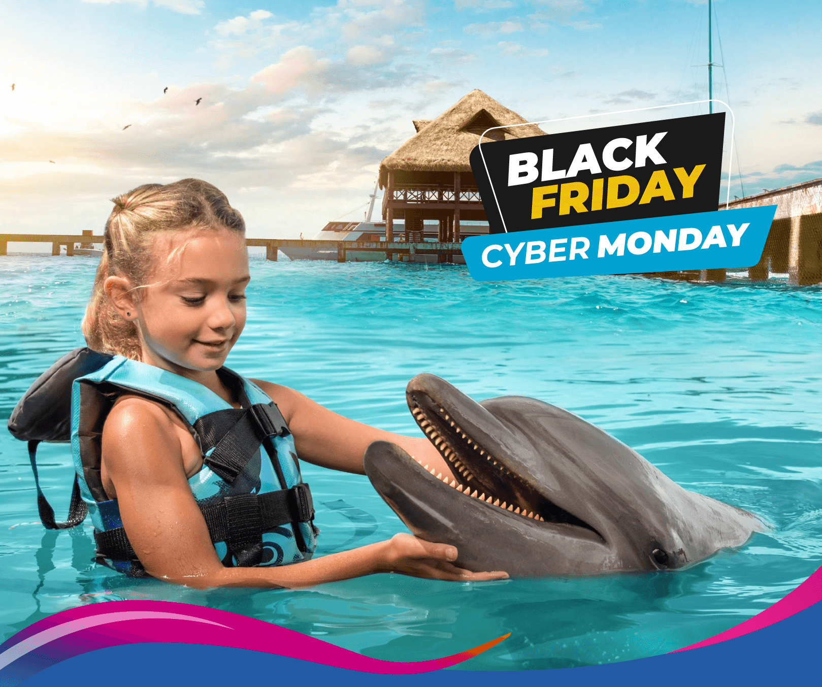 Black Friday and Cyber Monday in Dolphin Discovery