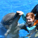 swim with dolphins in Marineland Florida