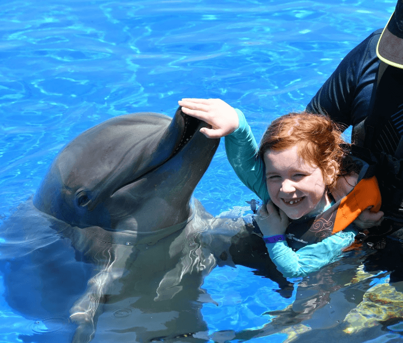 swim with dolphins in Marineland Florida