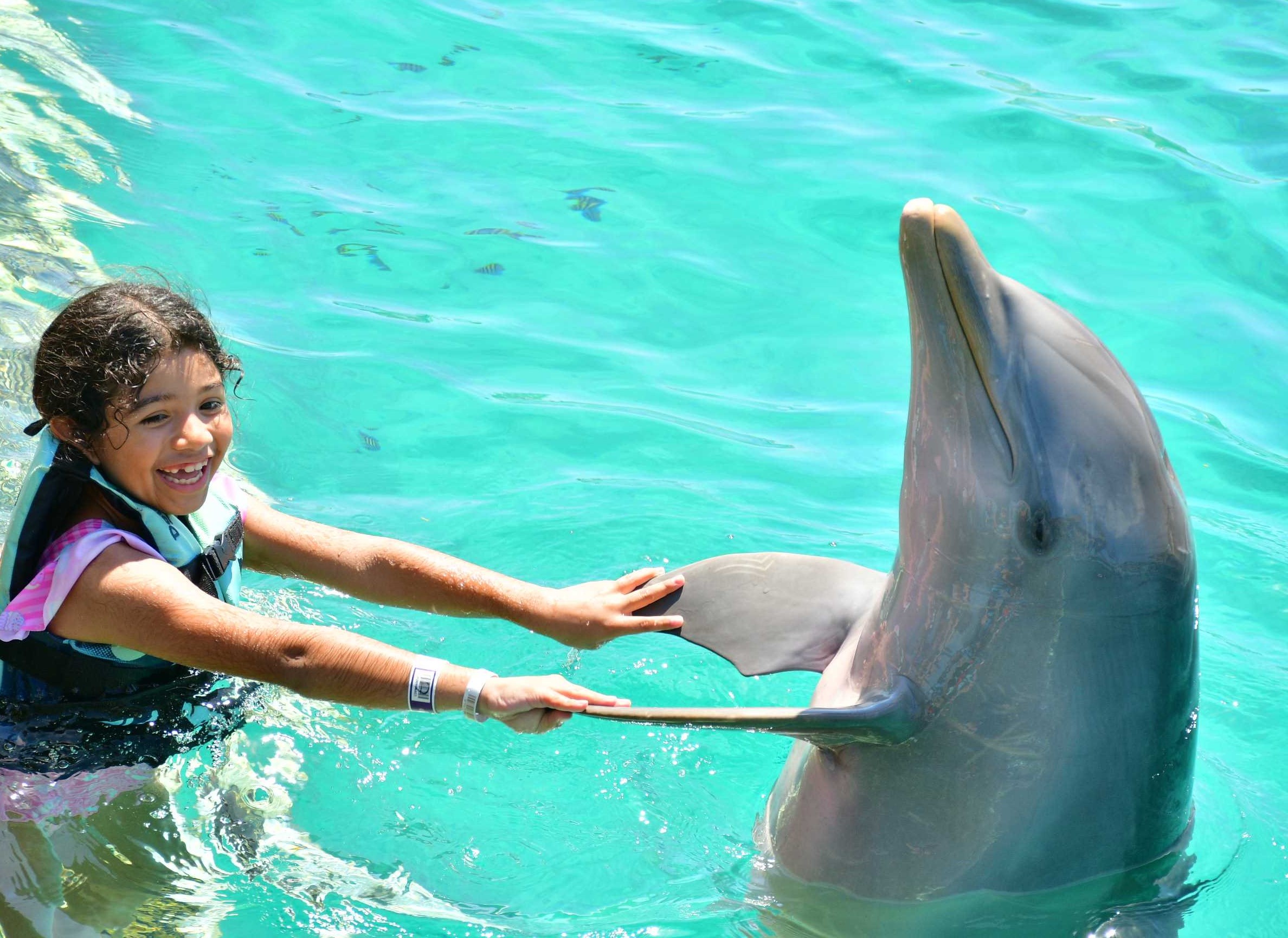 girl swimming with dolphins in cozumel