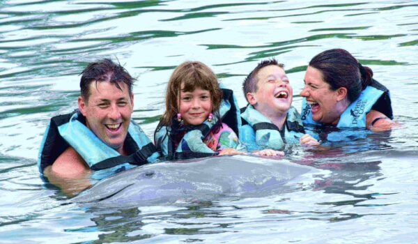 swimming with dolphins in family in jamaica