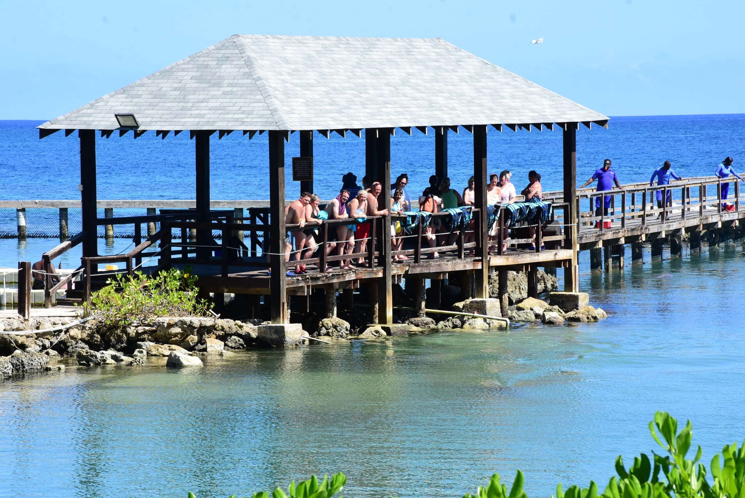 shore excursion in jamaica