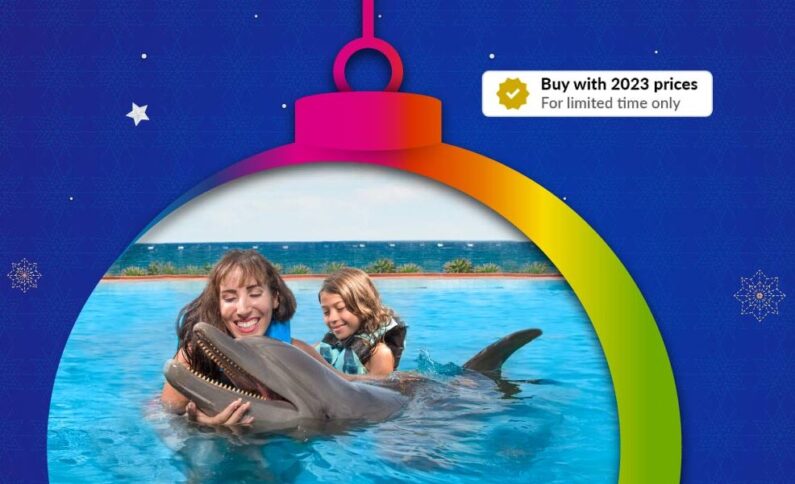 christmas deals at Dolphin Discovery