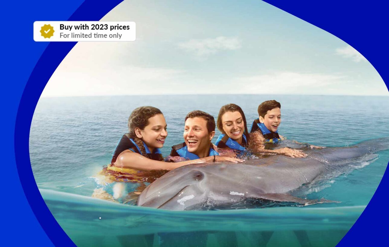 new year deals at dolphin discovery