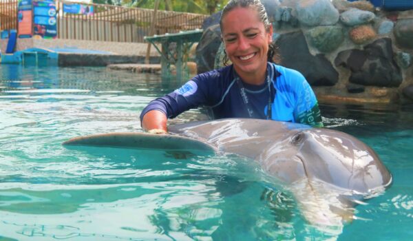 marine conservation dolphin discovery