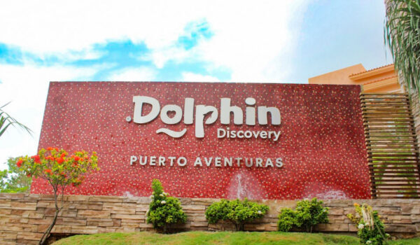 dolphin discovery puerto aventuras main facade