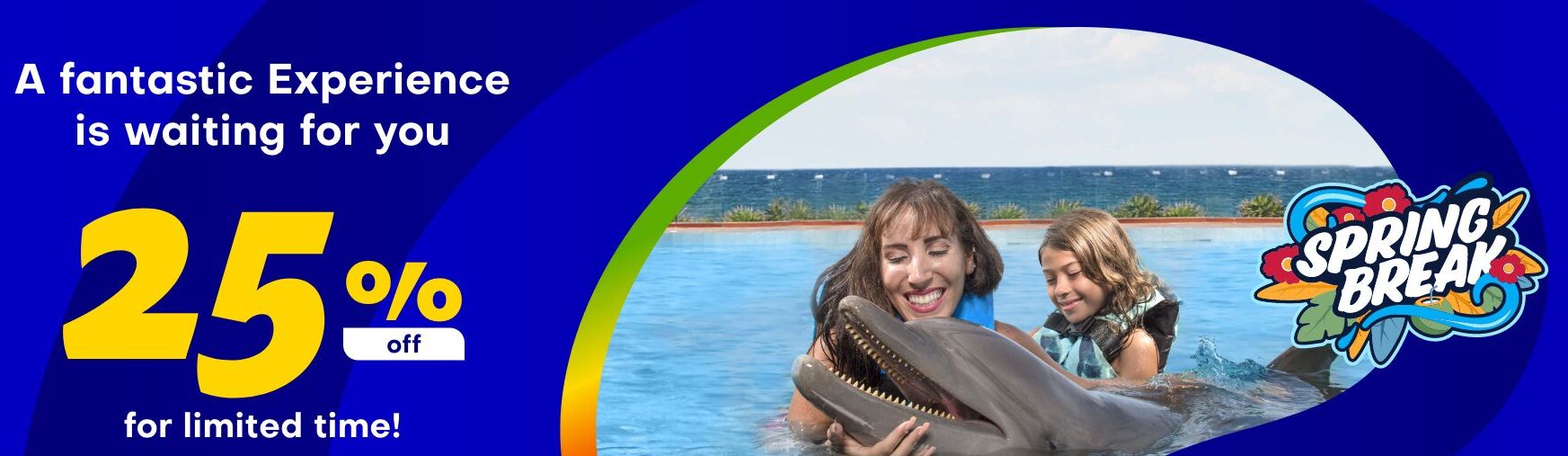 spring break has arrived at dolphin discovery