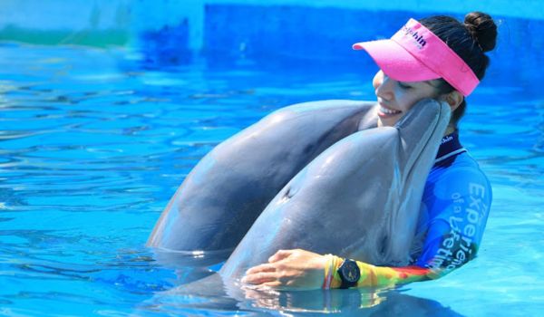 swim with two dolphins in vallarta