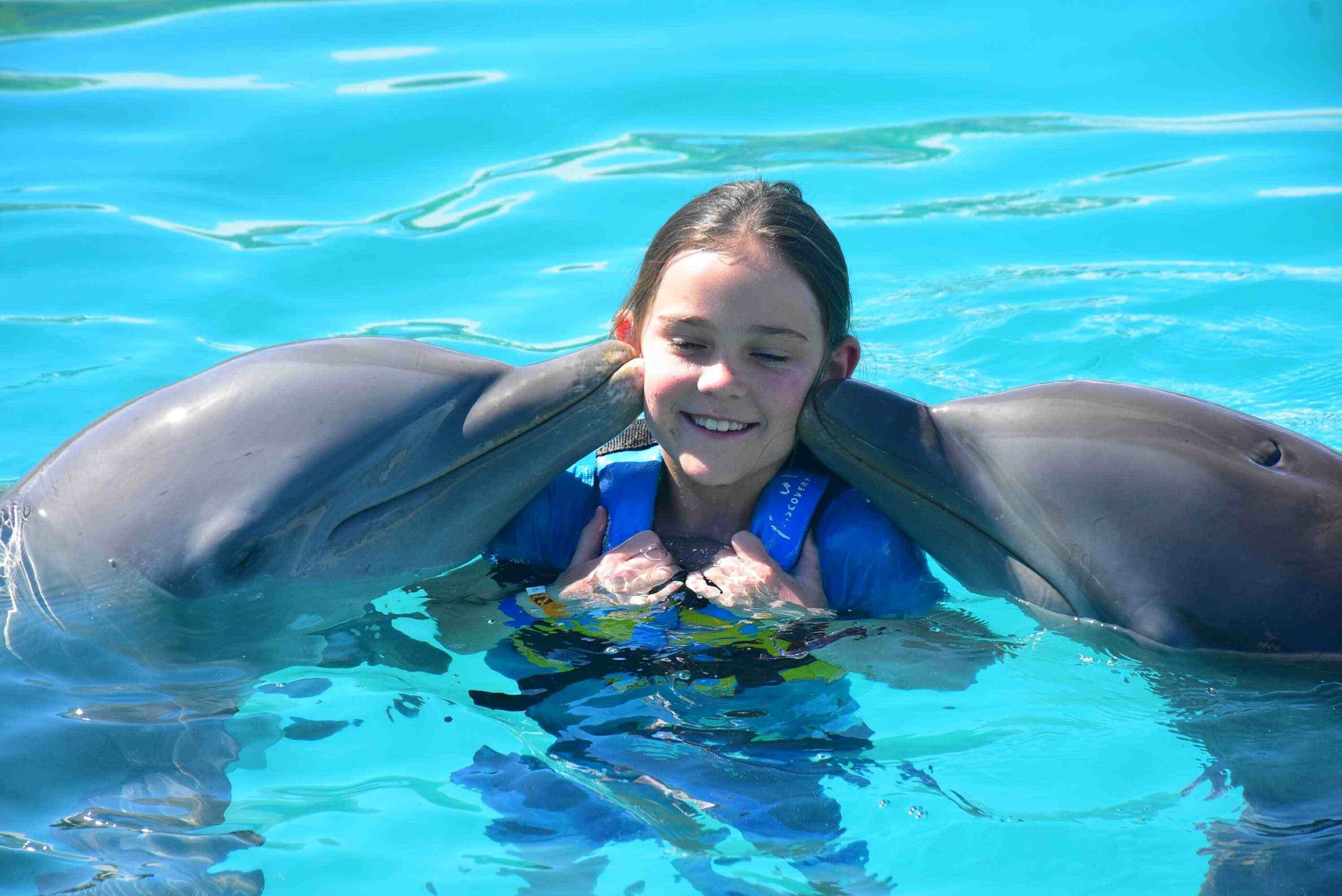 swim with dolphins in grand cayman