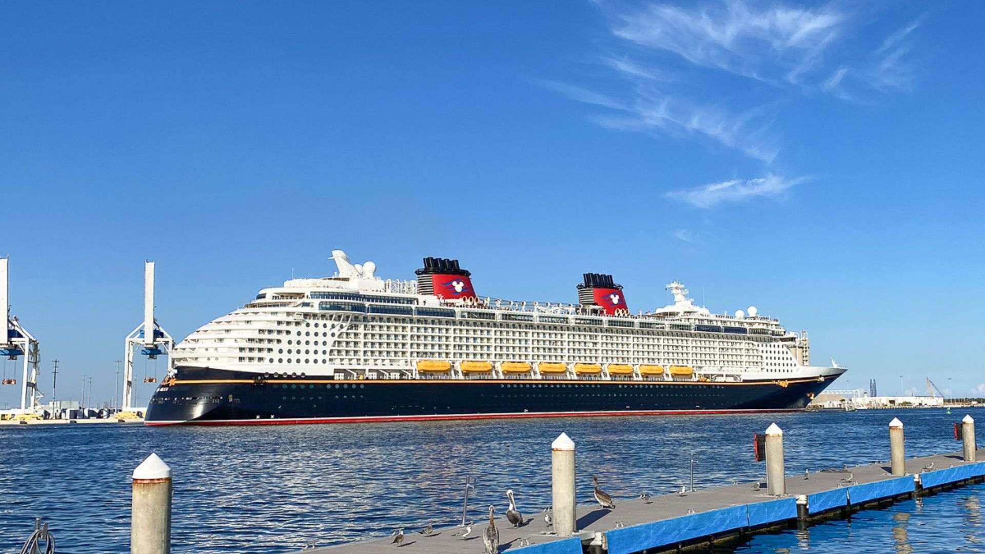 Disney Cruise Line