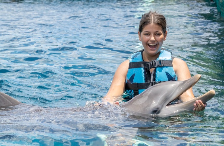 swim with dolphins in cozumel