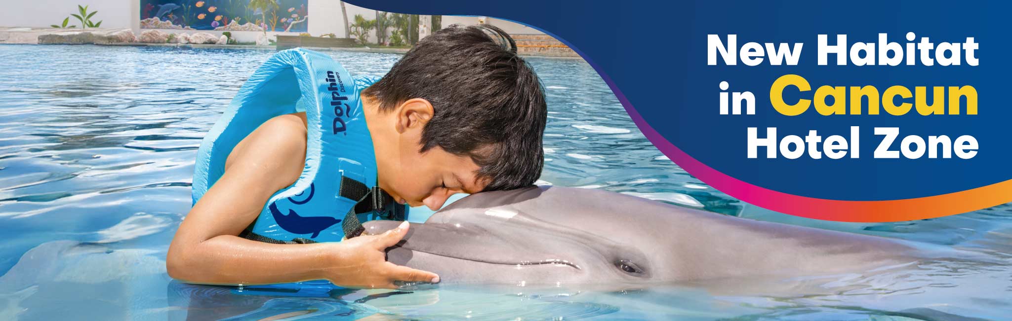 dolphin discovery now at the cancun hotel zone