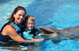 tax to swim with dolphins in cancun and riviera maya