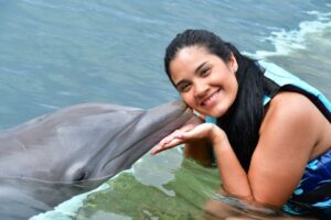 swim with Dolphins in St Kitts
