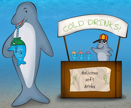 Dolphins drinks