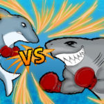 Shark vs Dolphin