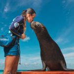 sea-lions