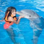 dolphin Kiss