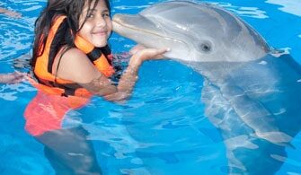 dolphin Kiss