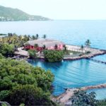 Dolphin Discovery Tortola