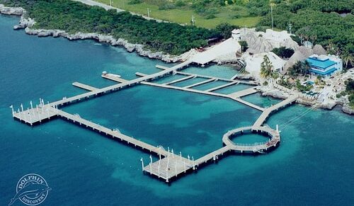 Dolphin Discovery Isla Mujeres