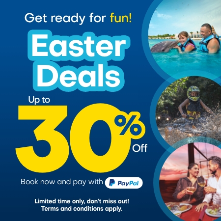 Easter Deals in Dolphin Discovery