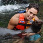 Sea Lion hug