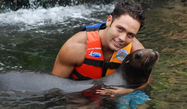 Sea Lion hug