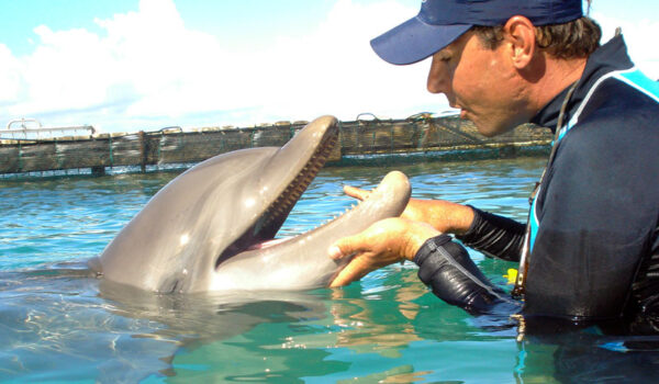 interview-with-a-marine-mammal-specialist