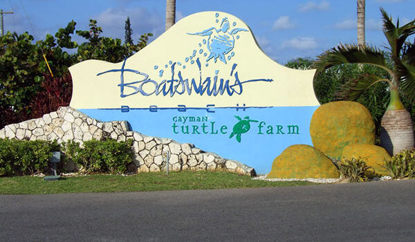 Boatswain’s Turtle Farm