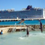 Dolphin Discovery Costa Maya
