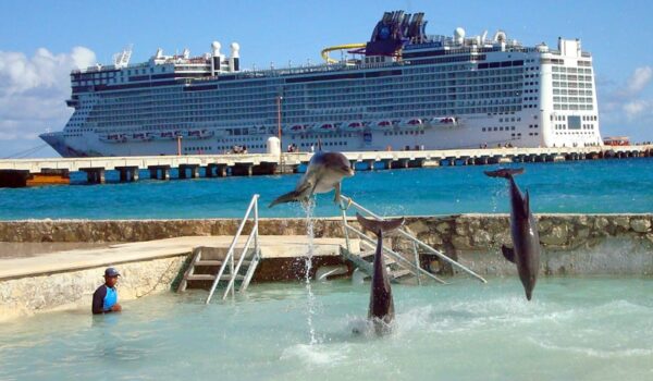 Dolphin Discovery Costa Maya