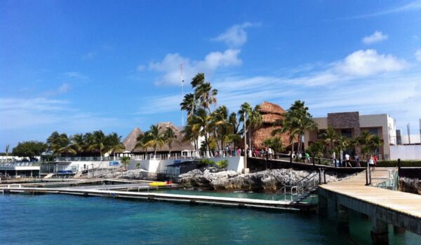 Dolphin Discovery Isla Mujeres