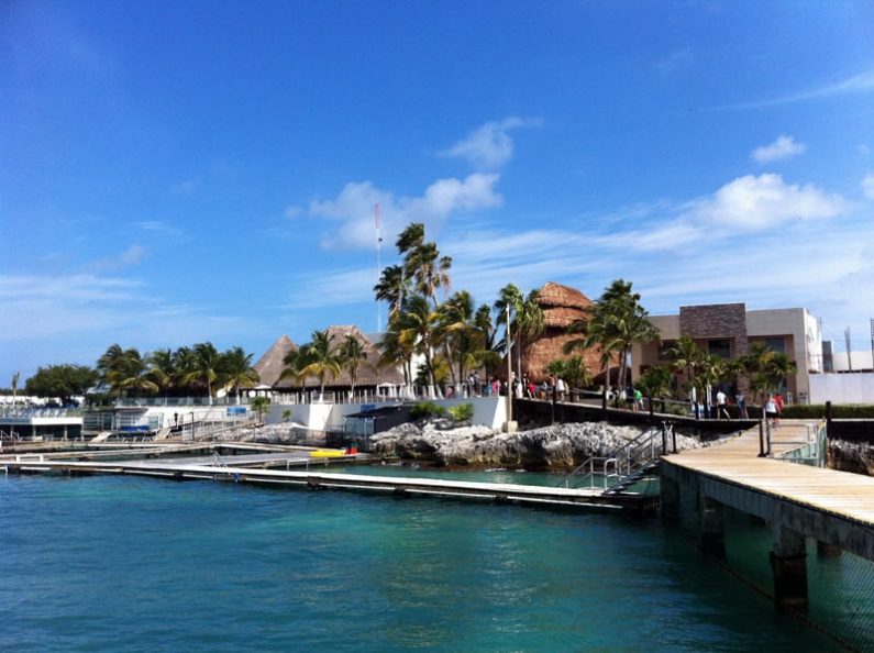 Dolphin Discovery Isla Mujeres