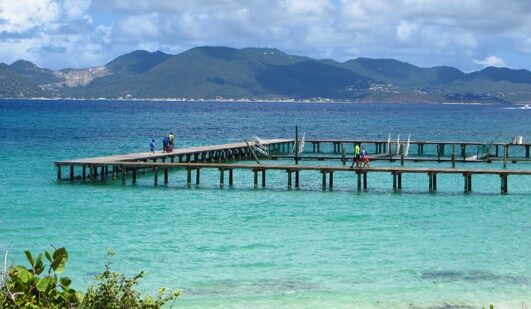 Anguilla Dolphin Discovery