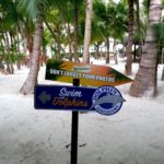 Dolphin Discovery Playa