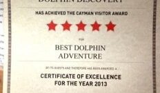 Cayman visitor award