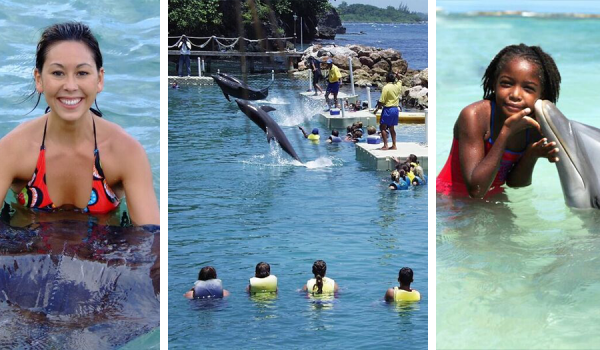 jamaica, Dolphin Discovery