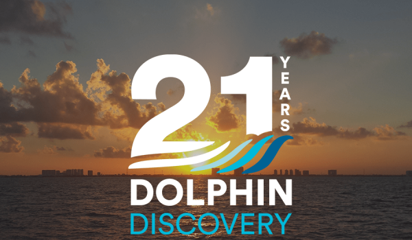 21years Dolpjin Discovery