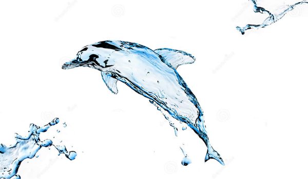 dolphin world water day