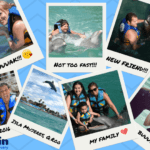 Pictures with Dolphins