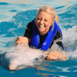 Dolphins in Florida