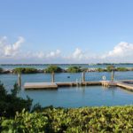 Dolphin Discovery acquires Dolphin Connection in Florida