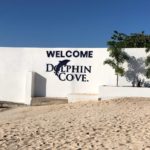 Welcome to Dolphin Cove
